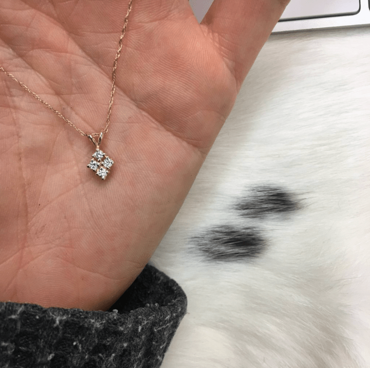 Diamond Shield Necklace - xohanalei